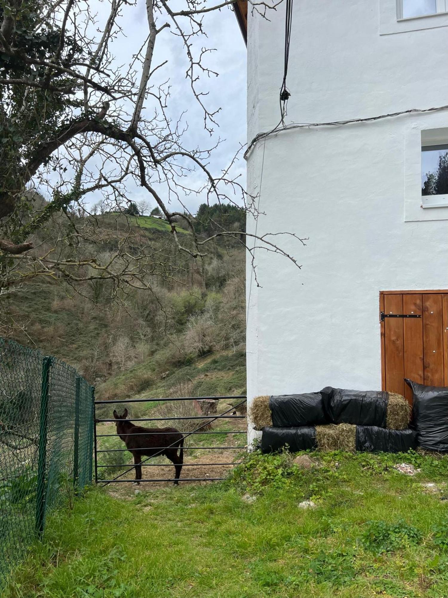 Fantastico Retiro Rural En El Corazon De Euskadi Leilighet Elgoibar Eksteriør bilde